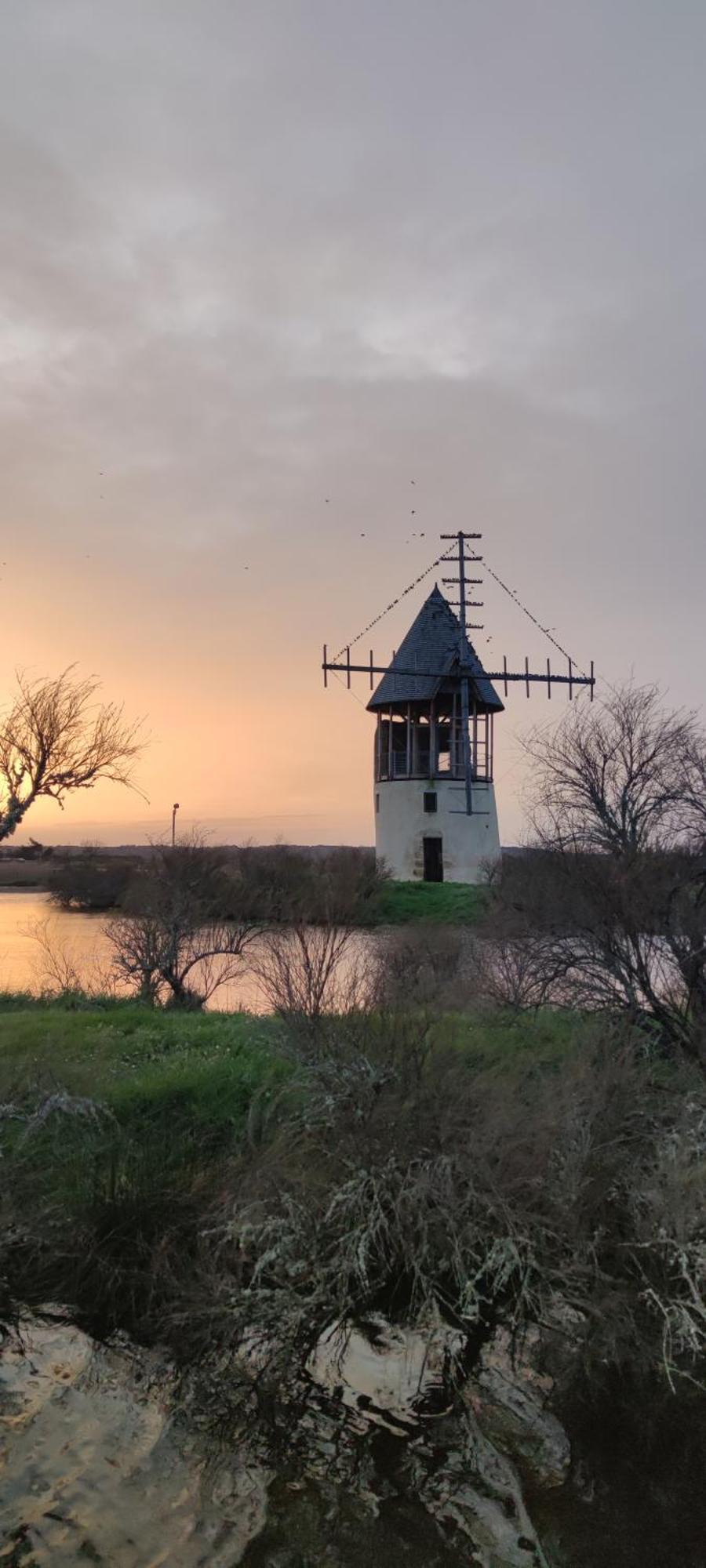 Apartament Les Oliviers L'Ile-d'Olonne Zewnętrze zdjęcie