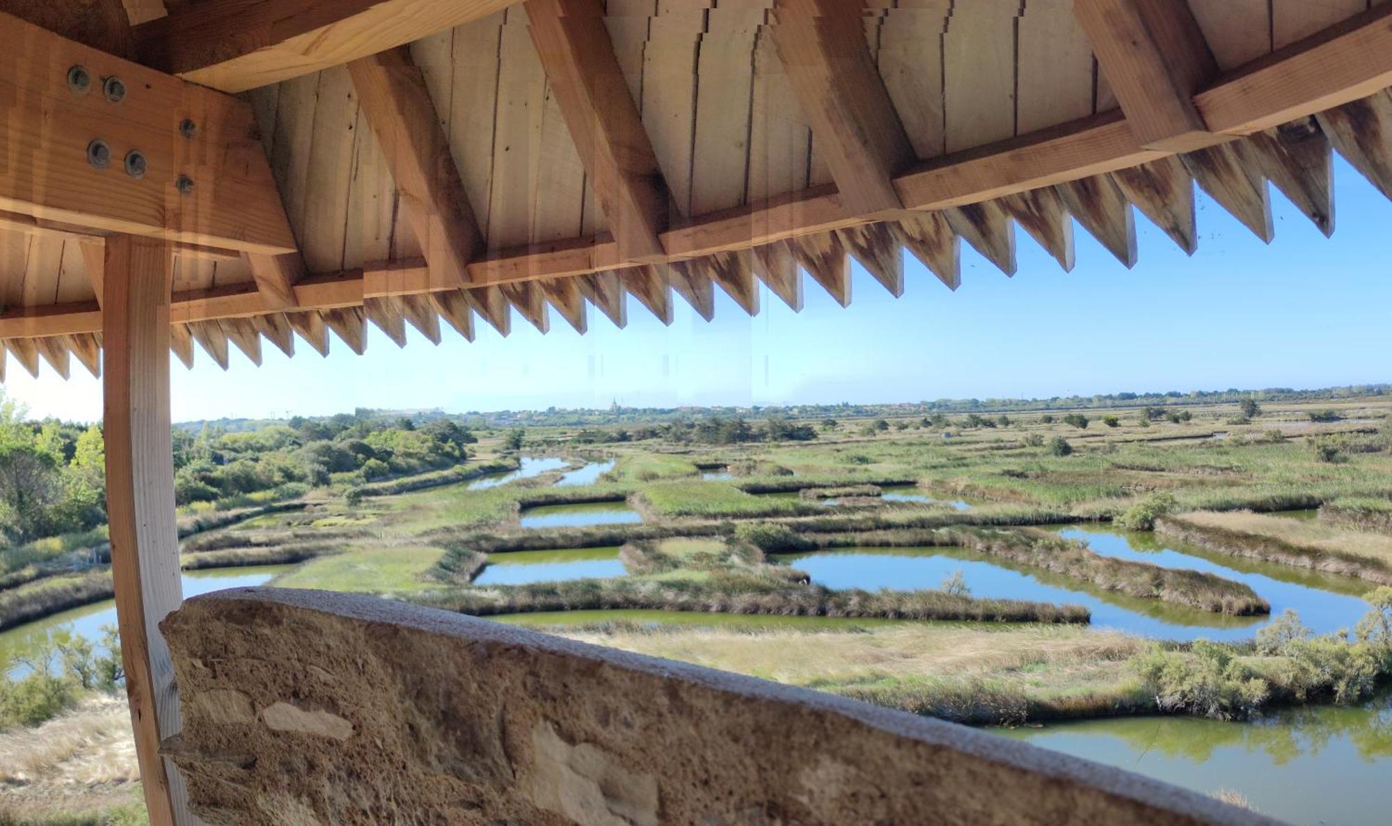 Apartament Les Oliviers L'Ile-d'Olonne Zewnętrze zdjęcie
